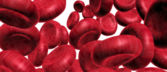Hemophilia Medical Alert Bracelets Hemophilia Medical Alert Bracelets
